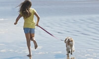 Leash Laws
