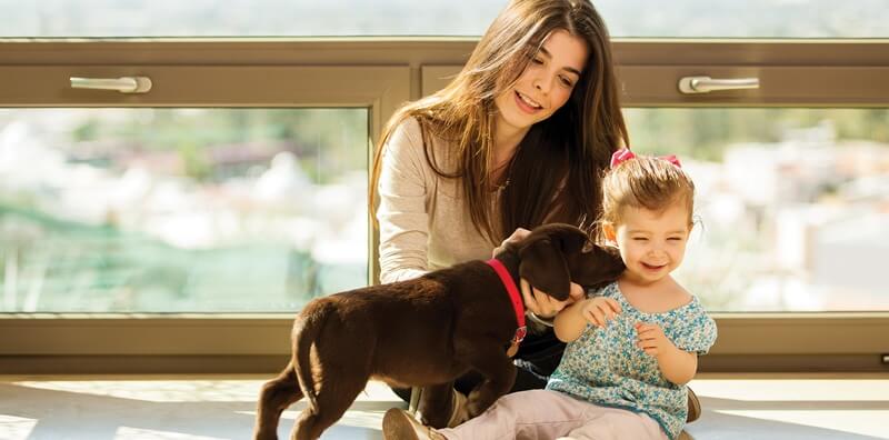 everyday extraordinary