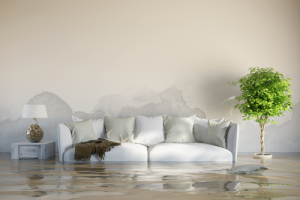 homeowners insurance outer banks nc - flood