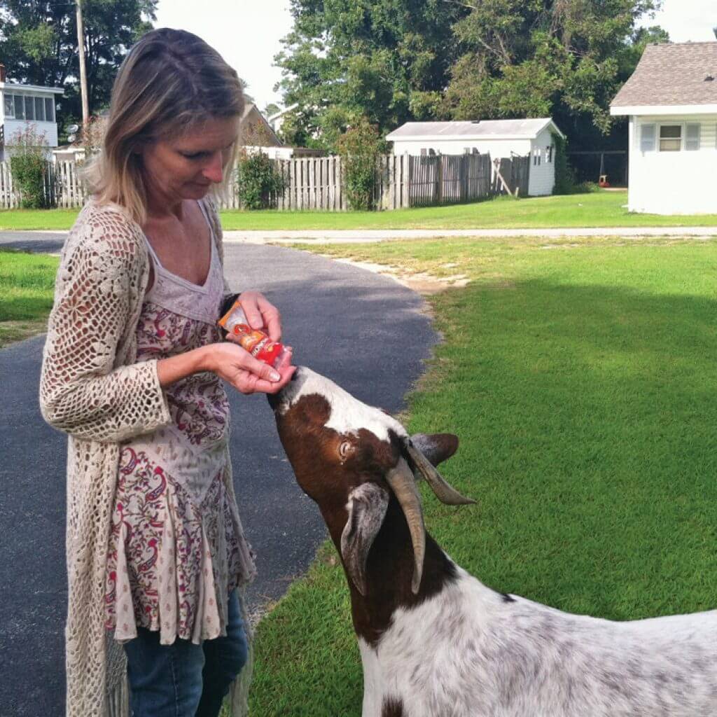 Gas Up With Goat Goat