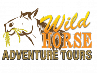 wild-horse-tours