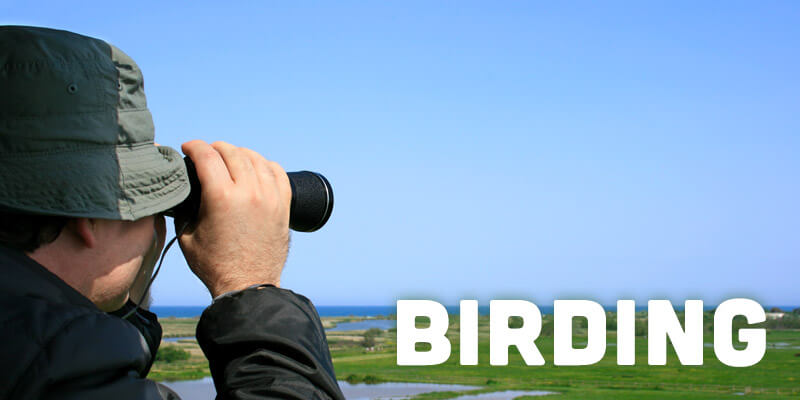 obx birding