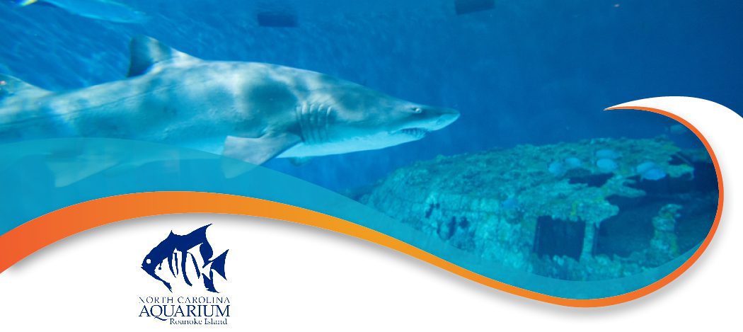 2026 hero nc aquarium ri