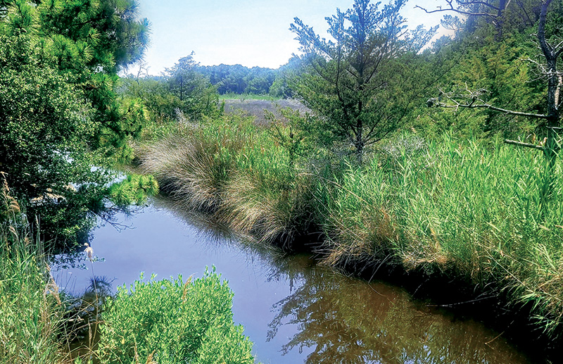 Adjacent to the US Route 64 Bypass and Virginia Dare Memorial Bridge, waterways meander through the coastal marshes, reflecting broad expanses of sky.