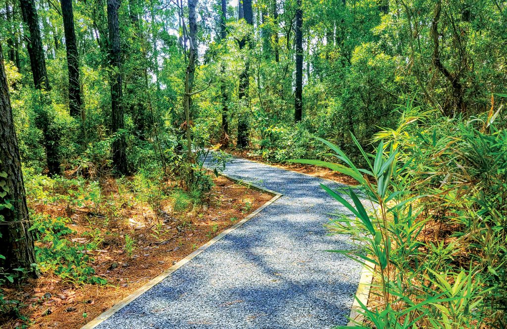 ll roads lead to the Dare County Governmental Complex in Manteo. Well, at least Marshall C. Collins Drive and the Marshall and Gussie Collins Walkway do.