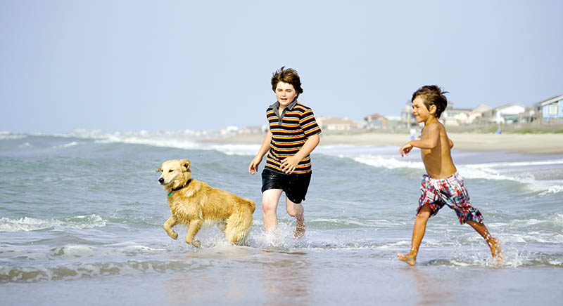 Boys with their dog running through the surf at the beach.