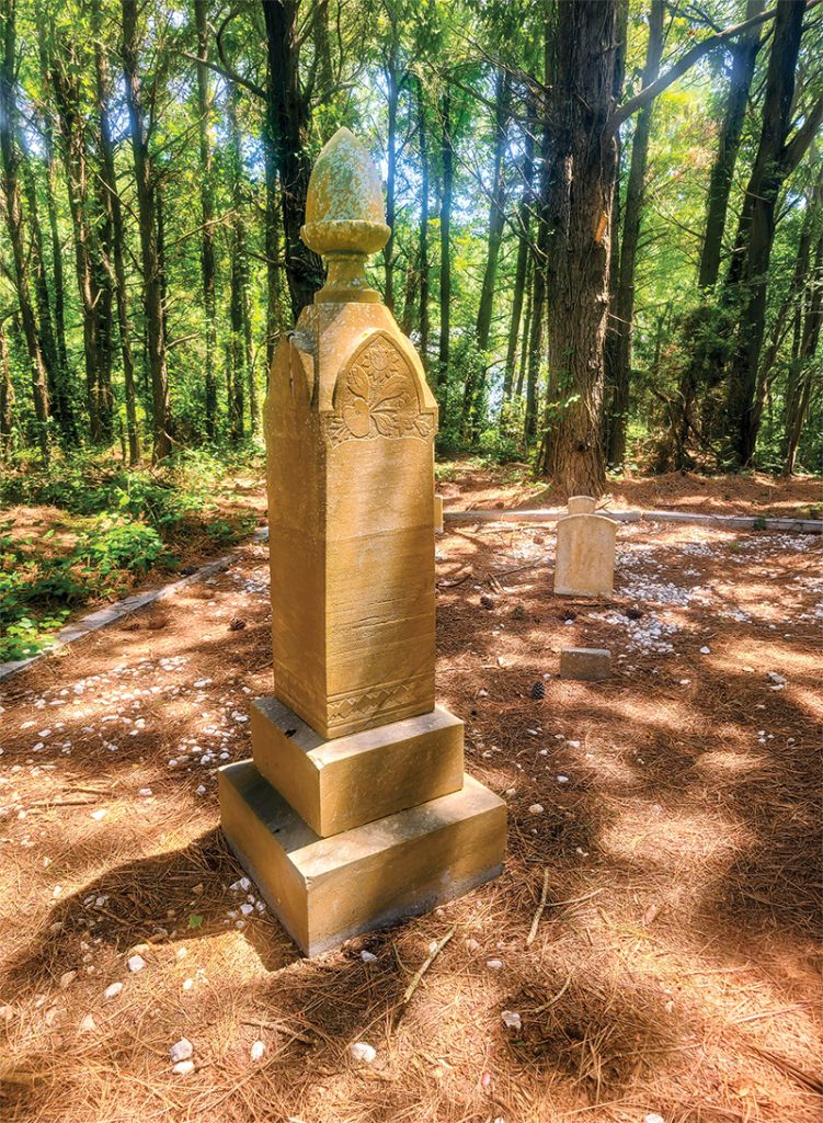 Dappled light dances across carpets of pine needles and the Willis/Hayman Cemetery between the Sarah Owens Welcome Center and Toler Road.