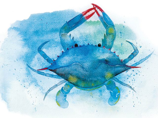 OBX Crab Legacy