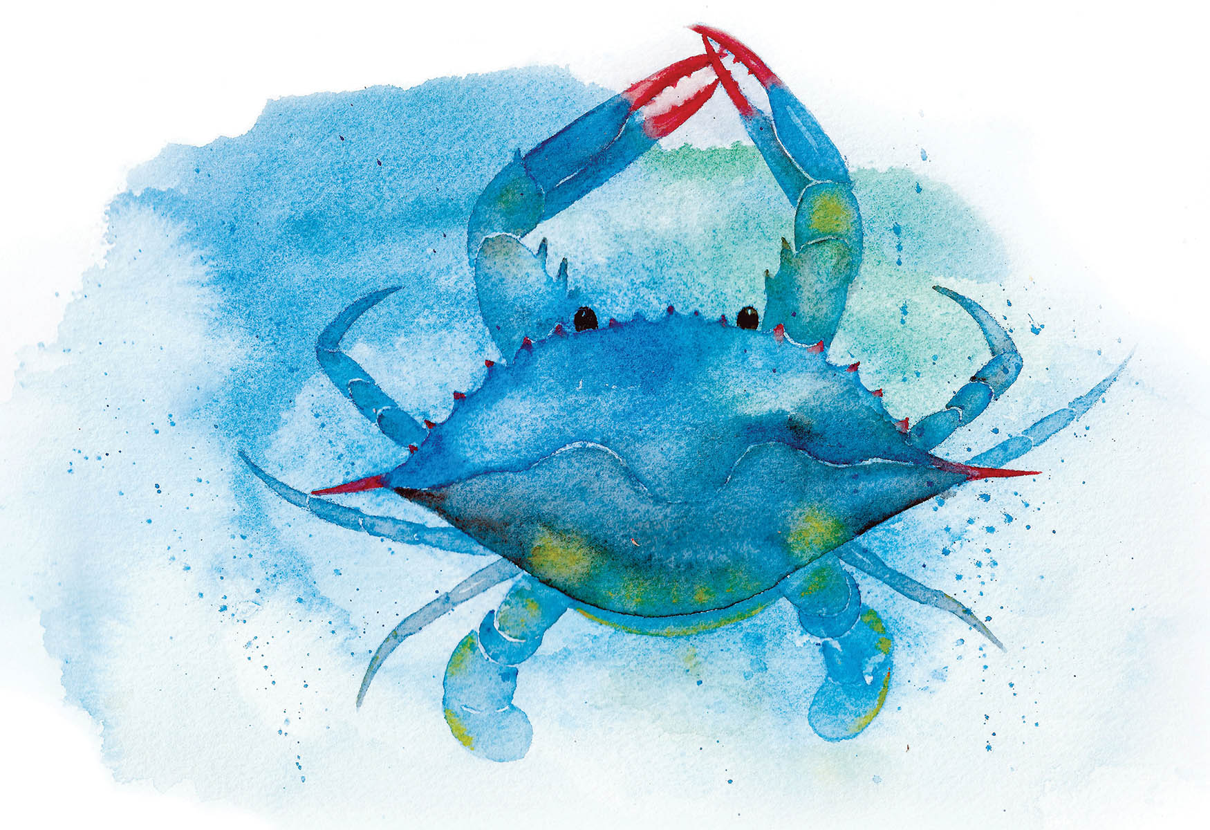 OBX Crab Legacy