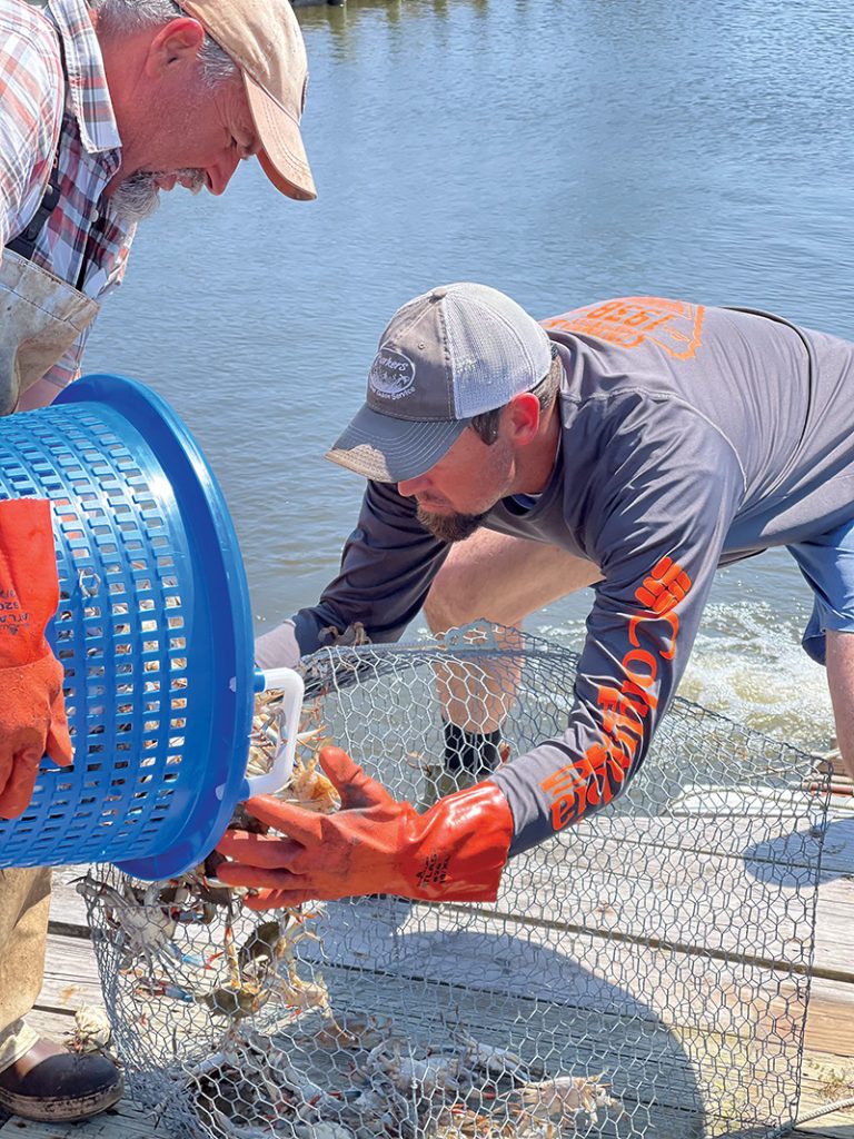 Jamie Parker Sr. with son, Jamie, Jr. of Parker Seafood, running for over 40 years, spanning several generations of crabbing on Colington Island. Photo courtesy of Kim Parker of Henry’s Restaurant.
