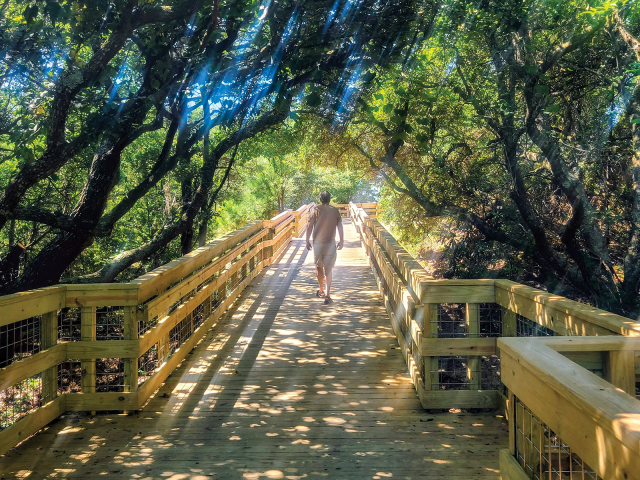 Discovering Jockey’s Ridge Anew