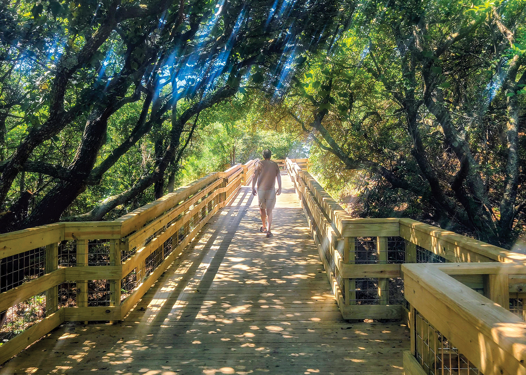 Discovering Jockey’s Ridge Anew