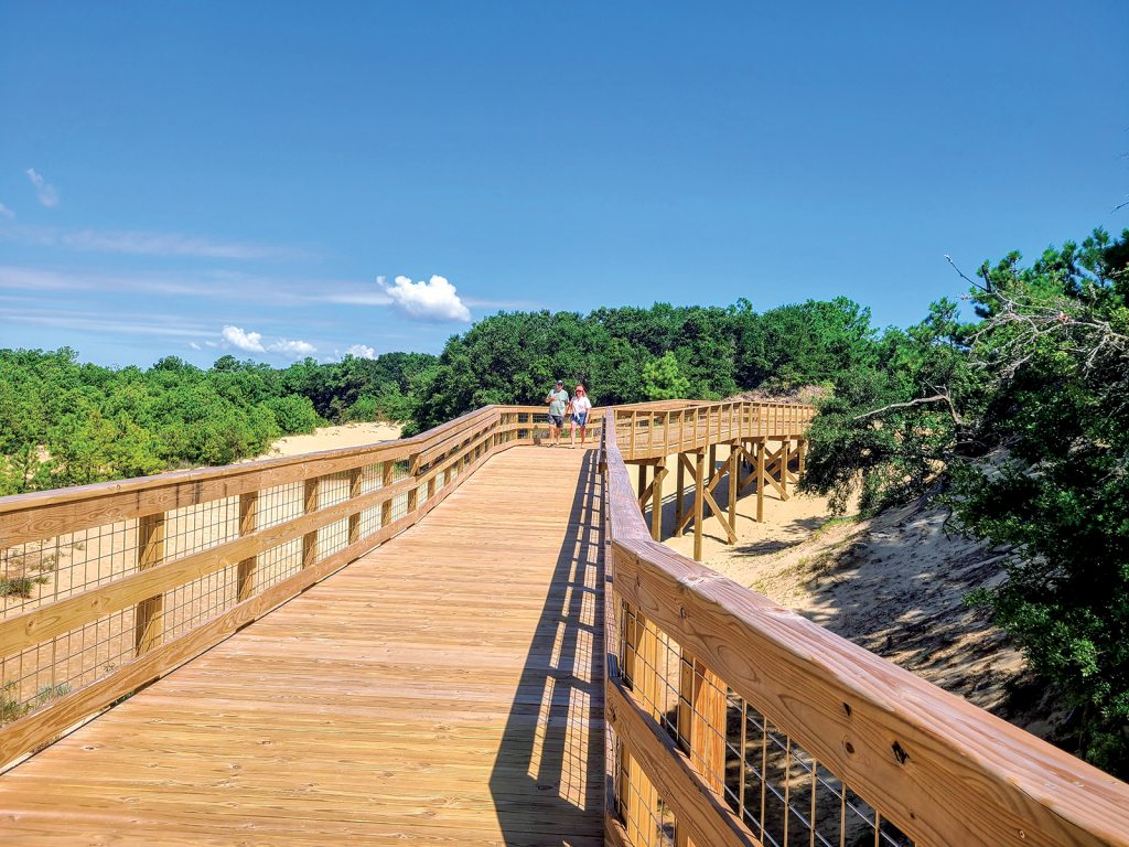  Long, gently angled stretches of pristine boardwalk create a meandering experience of the dunes, accessible to all.