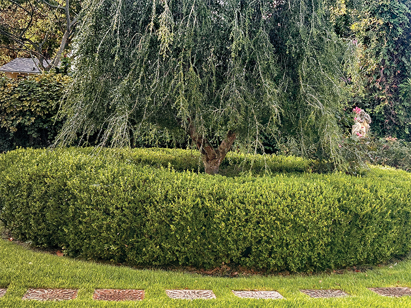 Image courtesy of Grounds Pros Landscape Management
