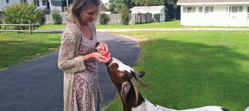 Gas Up With Goat Goat | Outer Banks Coastal Life