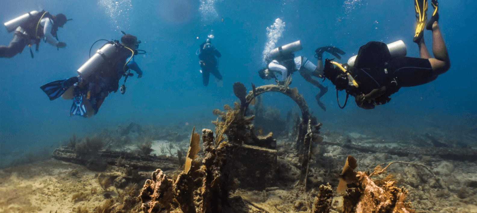 Outer Banks Coastal Life
