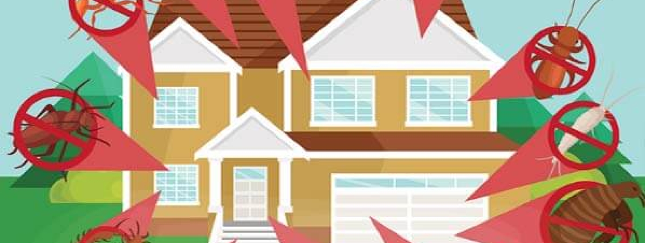 Outer Banks Pest Control Outer Banks Coastal Life