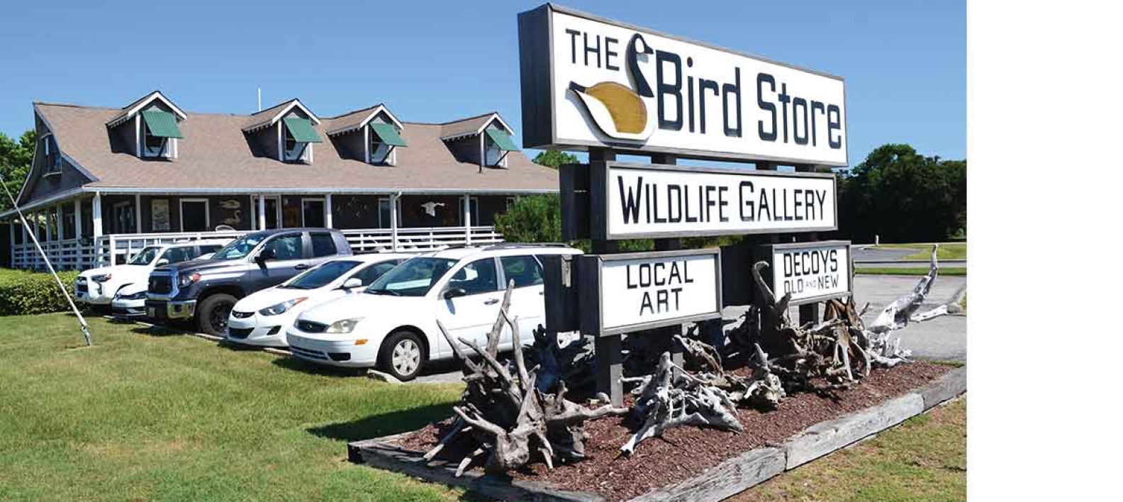 The Birdstore Outer Banks Coastal Life